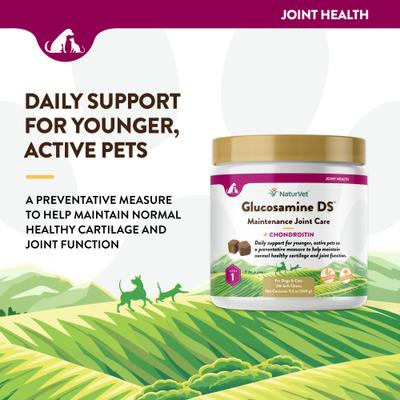 Show full view: NaturVet Maintenance Care Glucosamine DS Soft Chews Joint Supplement for Dogs & Cats, 120 count slide 4 of 10