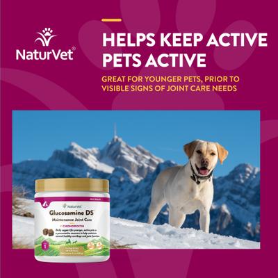 Show full view: NaturVet Maintenance Care Glucosamine DS Soft Chews Joint Supplement for Dogs & Cats, 120 count slide 5 of 10