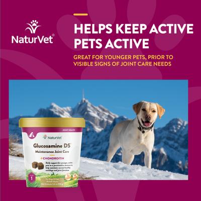 Show full view: NaturVet Maintenance Care Glucosamine DS Soft Chews Joint Supplement for Dogs & Cats, 70 count slide 5 of 10