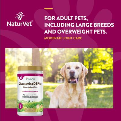 Show full view: NaturVet Moderate Care Glucosamine DS Plus Chewable Tablets Joint Supplement for Dogs, 240 count slide 5 of 11
