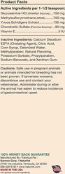 NaturVet Moderate Care Glucosamine DS Plus Liquid Joint Supplement for Cats & Dogs, 16-fl oz bottle slide 2 of 4