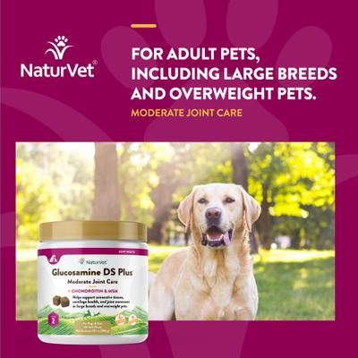 Show full view: NaturVet Moderate Care Glucosamine DS Plus Soft Chews Joint Supplement for Dogs, 120 count slide 5 of 11