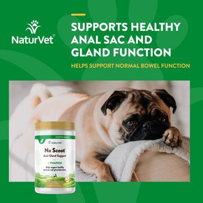 Show full view: NaturVet No Scoot Plus Pumpkin Powder Digestive Supplement for Dogs, 155g bottle slide 5 of 11