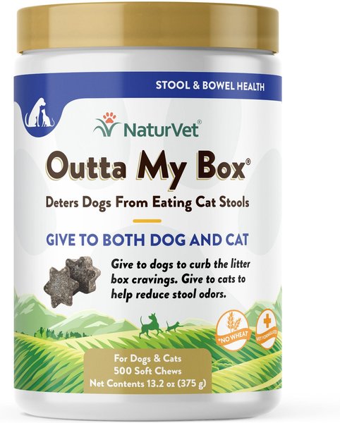 how do you get a dog to stop eating cat poop