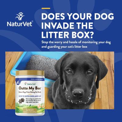 Show full view: NaturVet Outta My Box Soft Chews Digestive Supplement for Cats & Dogs, 500 count slide 5 of 10