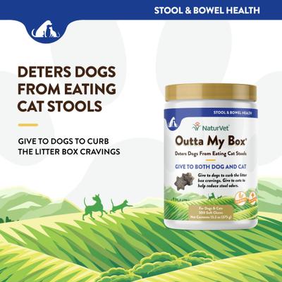 Show full view: NaturVet Outta My Box Soft Chews Digestive Supplement for Cats & Dogs, 500 count slide 4 of 10