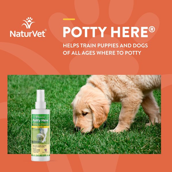 Show full view: NaturVet Potty Here Training Aid, 8-oz bottle slide 2 of 8