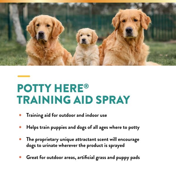 Show full view: NaturVet Potty Here Training Aid, 8-oz bottle slide 3 of 8