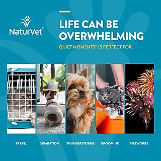 NaturVet Quiet Moments Liquid Calming Supplement for Cats & Dogs, 2-fl oz bottle slide 4 of 9