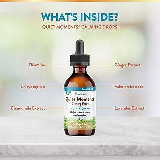 NaturVet Quiet Moments Liquid Calming Supplement for Cats & Dogs, 2-fl oz bottle slide 5 of 9