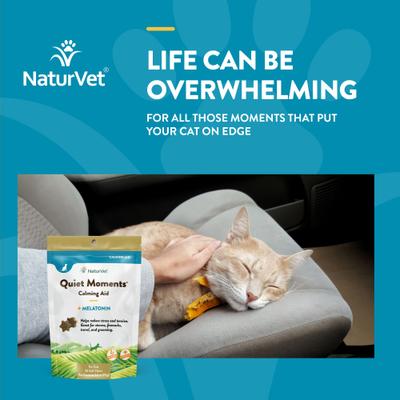 Show full view: NaturVet Quiet Moments Calming Salmon & Bacon Flavored Soft Chew Supplement for Cats, 50 count slide 5 of 10