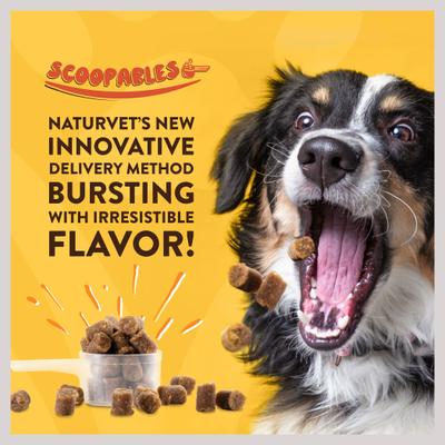 Show full view: NaturVet Scoopables Advanced Probiotics & Enzymes Dog Digestive Supplement, 11-oz bag slide 5 of 10