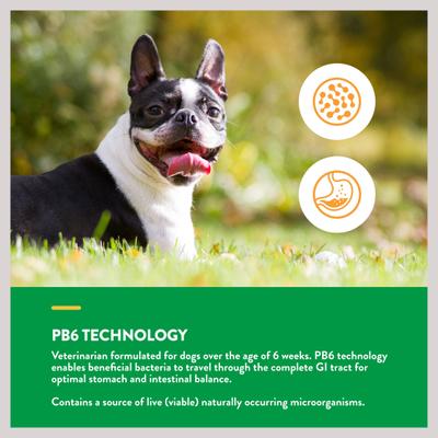 Show full view: NaturVet Scoopables Advanced Probiotics & Enzymes Dog Digestive Supplement, 11-oz bag slide 8 of 10