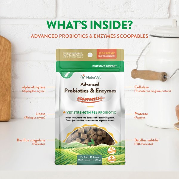 NaturVet Scoopables Advanced Probiotics & Enzymes Dog Digestive Supplement, 11-oz bag