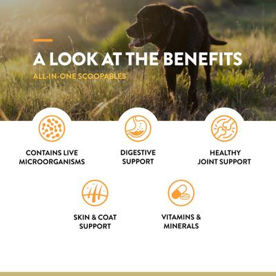 Show full view: NaturVet Scoopables All-In-One 4-in-1 Support Dog Supplement, 11-oz bag slide 8 of 10