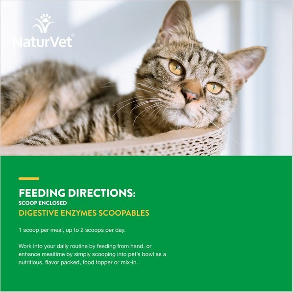 NaturVet Scoopables Digestive Enzymes Cat Supplement, 5.5-oz bag