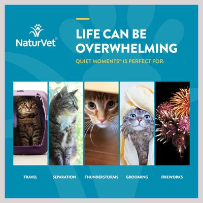 Show full view: NaturVet Scoopables Quiet Moments Calming Aid Cat Supplement, 5.5-oz bag slide 7 of 11