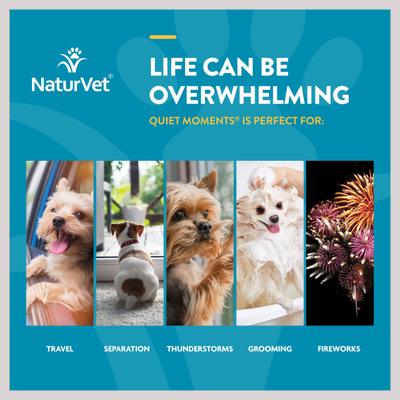 Show full view: NaturVet Scoopables Quiet Moments Calming Aid Dog Supplement, 11-oz bag slide 7 of 10