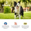 Show in main carousel: NaturVet VitaPet Adult Daily Vitamins Immunity Hickory Smoked Flavored Tablet Supplement for Dogs, 60 count slide 9 of 10