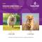 Show in main carousel: NaturVet VitaPet Puppy Plus Breath Aid Soft Chews Multivitamin for Dogs, 70 count slide 8 of 11