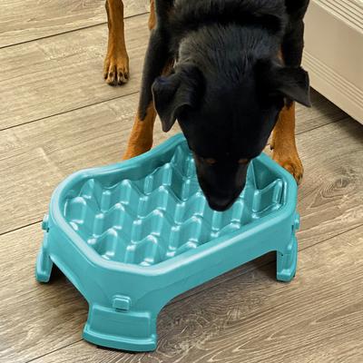 Show full view: Neater Pets Adjustable Non-Skid Plastic Slow Feeder Dog & Cat Bowl, 2.5-cup, Aquamarine slide 8 of 12