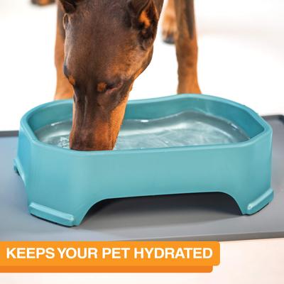 Show full view: Neater Pets Big Bowl Non-Skid Polypropylene Pet Bowl, Aquamarine, 20-cup slide 2 of 10