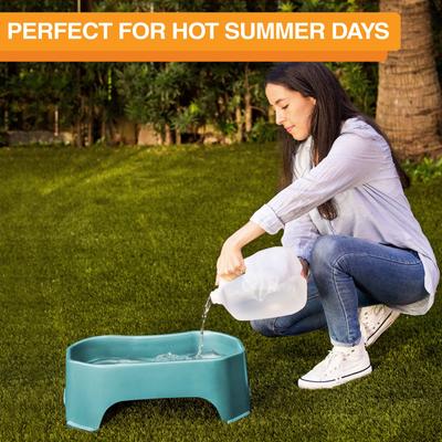 Show full view: Neater Pets Big Bowl Non-Skid Polypropylene Pet Bowl, Aquamarine, 20-cup slide 6 of 10