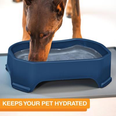 Show full view: Neater Pets Big Bowl Non-Skid Polypropylene Pet Bowl, Dark Blue, 20-cup slide 2 of 10