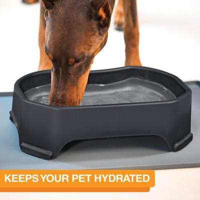 Show full view: Neater Pets Big Bowl Non-Skid Polypropylene Pet Bowl, Midnight Black, 20-cup slide 2 of 10