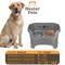 Show in main carousel: Neater Pets Neater Feeder Deluxe Elevated & Mess-Proof Dog Bowls, Gunmetal Grey, 7-cup & 9-cup slide 5 of 13