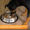 Show in main carousel: Neater Pets Non-Skid Non-Tip Stainless Steel Slow Feeder Dog Bowl, 2-cup slide 7 of 10