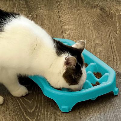 Show full view: Neater Pets Standard Non-Skid Plastic Slow Feeder Dog & Cat Bowl, 2.5-cup, Aquamarine slide 5 of 8