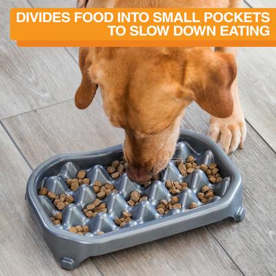 Show full view: Neater Pets Standard Non-Skid Plastic Slow Feeder Dog & Cat Bowl, Gunmetal Grey, 2.5-cup slide 3 of 10