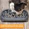 Show in main carousel: Neater Pets Standard Non-Skid Plastic Slow Feeder Dog & Cat Bowl, Gunmetal Grey, 2.5-cup slide 4 of 10