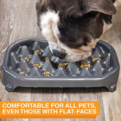 Show full view: Neater Pets Standard Non-Skid Plastic Slow Feeder Dog & Cat Bowl, Gunmetal Grey, 2.5-cup slide 4 of 10