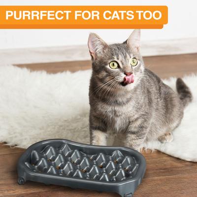 Show full view: Neater Pets Standard Non-Skid Plastic Slow Feeder Dog & Cat Bowl, Gunmetal Grey, 2.5-cup slide 7 of 10