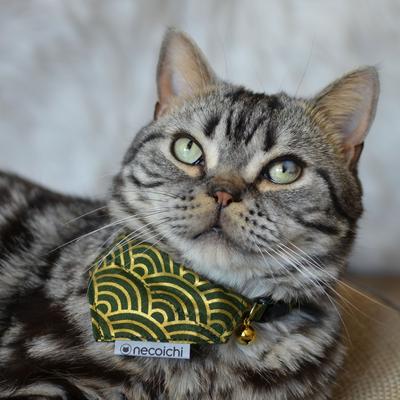 Show full view: Necoichi Bandana Cat Collar with Air Tag Pocket, One Size, Green slide 5 of 10