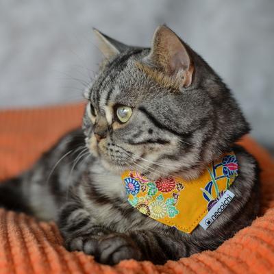 Show full view: Necoichi Bandana Cat Collar with Air Tag Pocket, One Size, Yellow slide 5 of 10