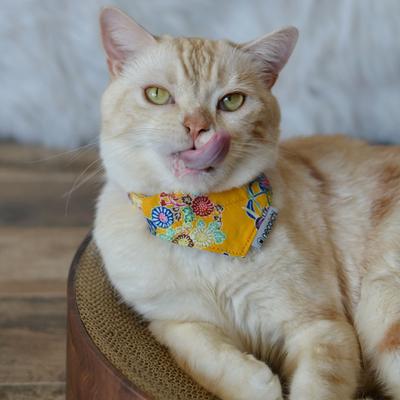 Show full view: Necoichi Bandana Cat Collar with Air Tag Pocket, One Size, Yellow slide 6 of 10