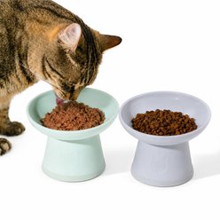 Necoichi Basic Edition Tilted Extra Wide Stress Free Raised Elevated Cat Food Bowl, Smoky Mint/Lilac Ice, 2-cup, 2 count