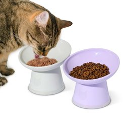 Necoichi Basic Edition Tilted Extra Wide Stress Free Raised Elevated Cat Food Bowl, White & Light Purple, 2-cup, 2 count