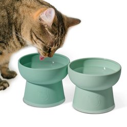 Necoichi BPA-Free Elevated Plastic Cat Bowl, Green/Seafoam, 2 count