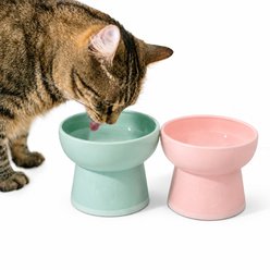 Necoichi BPA-Free Elevated Plastic Cat Bowl, Ocean Mist/Bloomy, 2 count