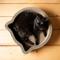 Show in main carousel: Necoichi Cat Head Scratcher Bed, Regular slide 3 of 11