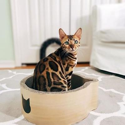 Show full view: Necoichi Cat Head Scratcher Bed, Regular slide 4 of 11