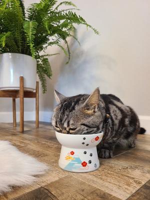 Show full view: Necoichi Ceramic Elevated Cat Food Bowl, Fuji, 1 cup slide 6 of 11