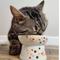 Show in main carousel: Necoichi Ceramic Elevated Cat Food Bowl, Sakura, 1 cup slide 5 of 10