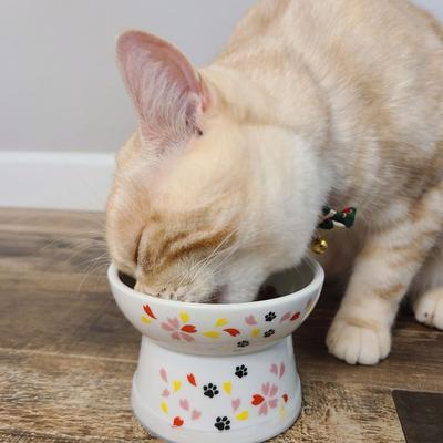 Show full view: Necoichi Ceramic Elevated Cat Food Bowl, Sakura, 1 cup slide 6 of 10