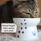 Show in main carousel: Necoichi Ceramic Elevated Cat Food Bowl, White Paw Print, 1-cup slide 2 of 13