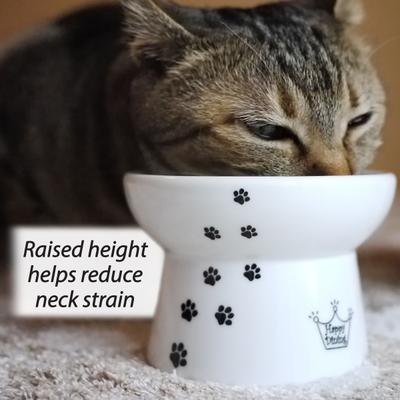 Show full view: Necoichi Ceramic Elevated Cat Food Bowl, White Paw Print, 1-cup slide 2 of 13